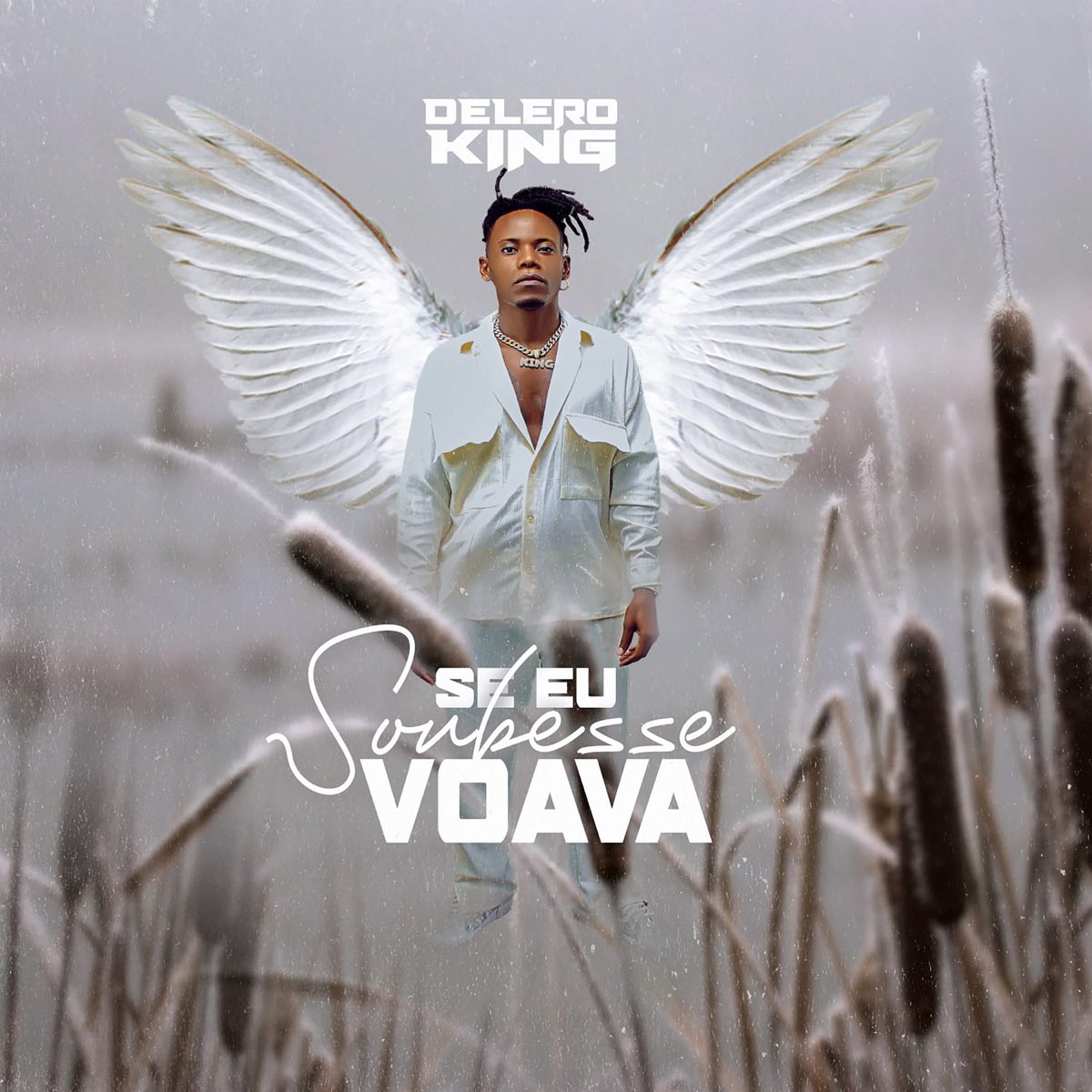 Delero King – Se Eu Soubesse Voava