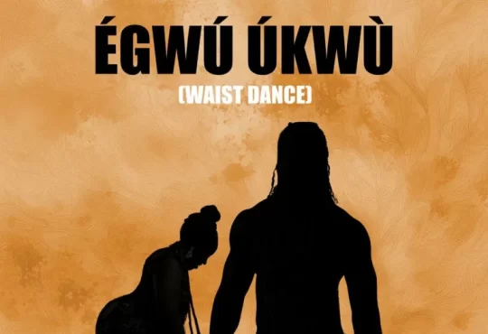 Dr Adaku – Egwu Ukwu (Waist Dance) (feat. Flavour)