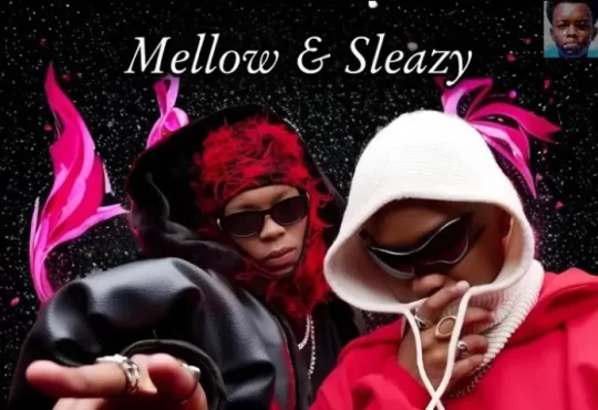 Mellow & Sleazy, LeeMcKrazy – Ezami feat. DjyMaten