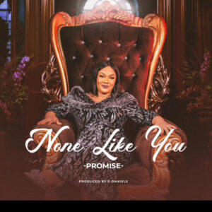 Promise Omoigui – None Like You