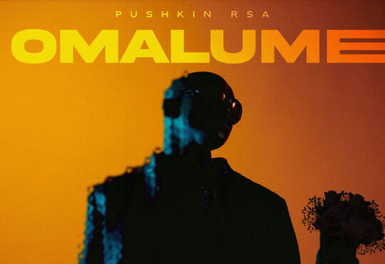 Pushkin RSA – Omalume (feat. Sykes, Dash SA, Springle, Supremme & T&TMusiq)