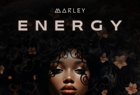 Mr. Marley – Energy