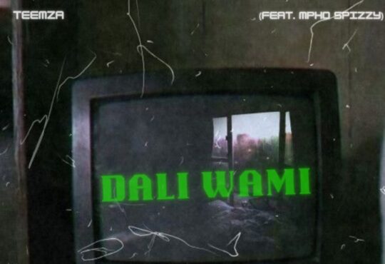 Teemza – Dali Wami (feat. Mpho Spizzy)