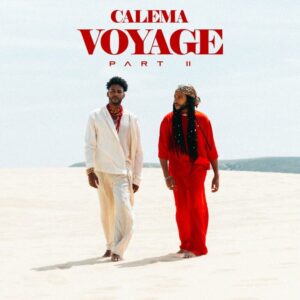 Calema – Te Amo (DJ Youcef Remix) [feat. Dj Youcef]